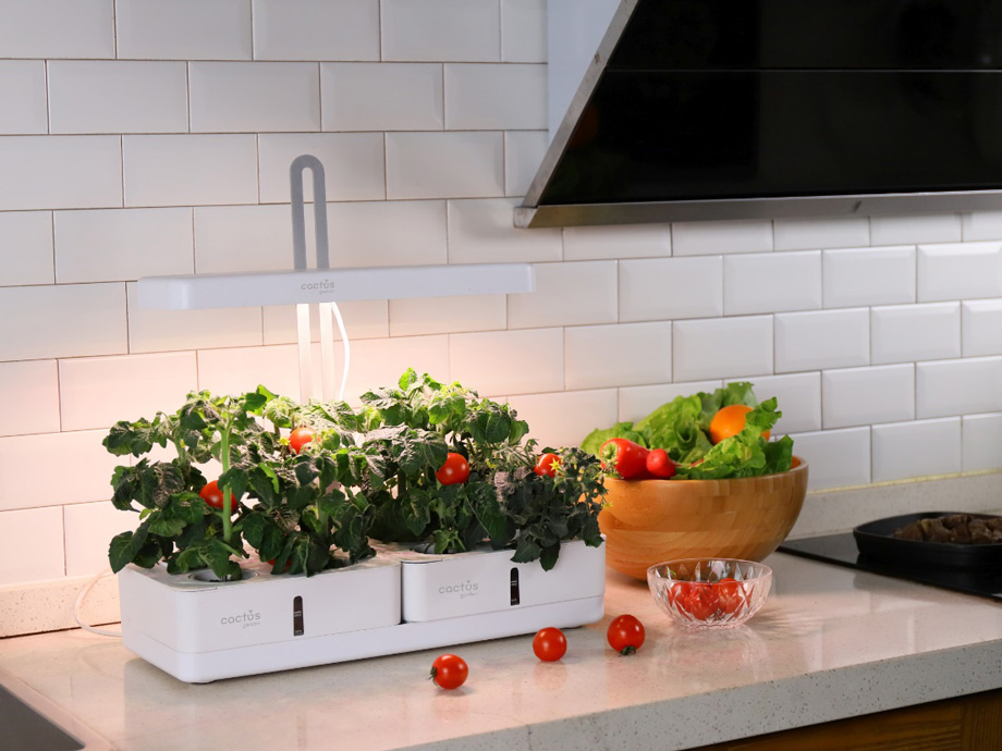Гидропоника CACTUS: свежий подарок, который растёт сам!