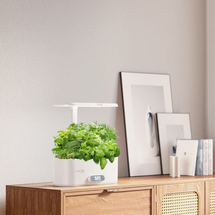 Гидропоника CACTUS: свежий подарок, который растёт сам!