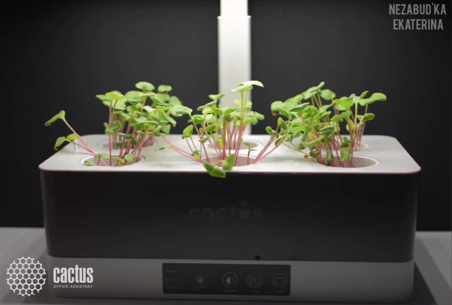 Гидропонная установка Cactus Garden 3л 24Вт черный (CS-LEDPOT-06)
